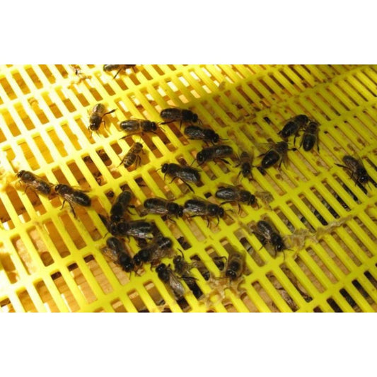 10 frame bee hive queen excluder bulk lot