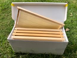 Nucleus Colonies (Seasonal Live Bees)